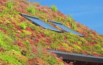 Farington Moss living roof systems